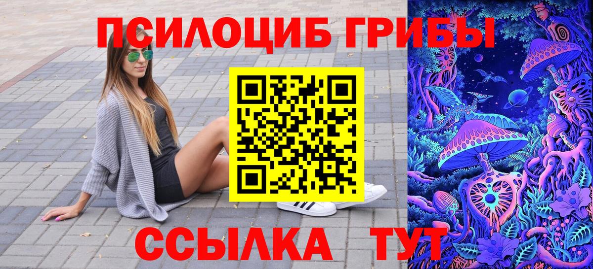Псилоцибиновые грибы GOLDEN TEACHER Киржач