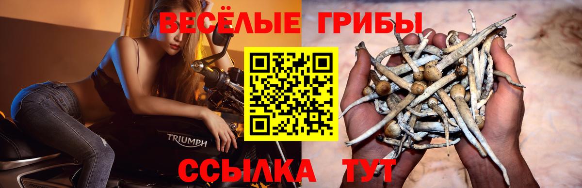 Галлюциногенные грибы мухоморы  Псилоцибиновые грибы Psilocybe  Киржач  Вход с VPN 